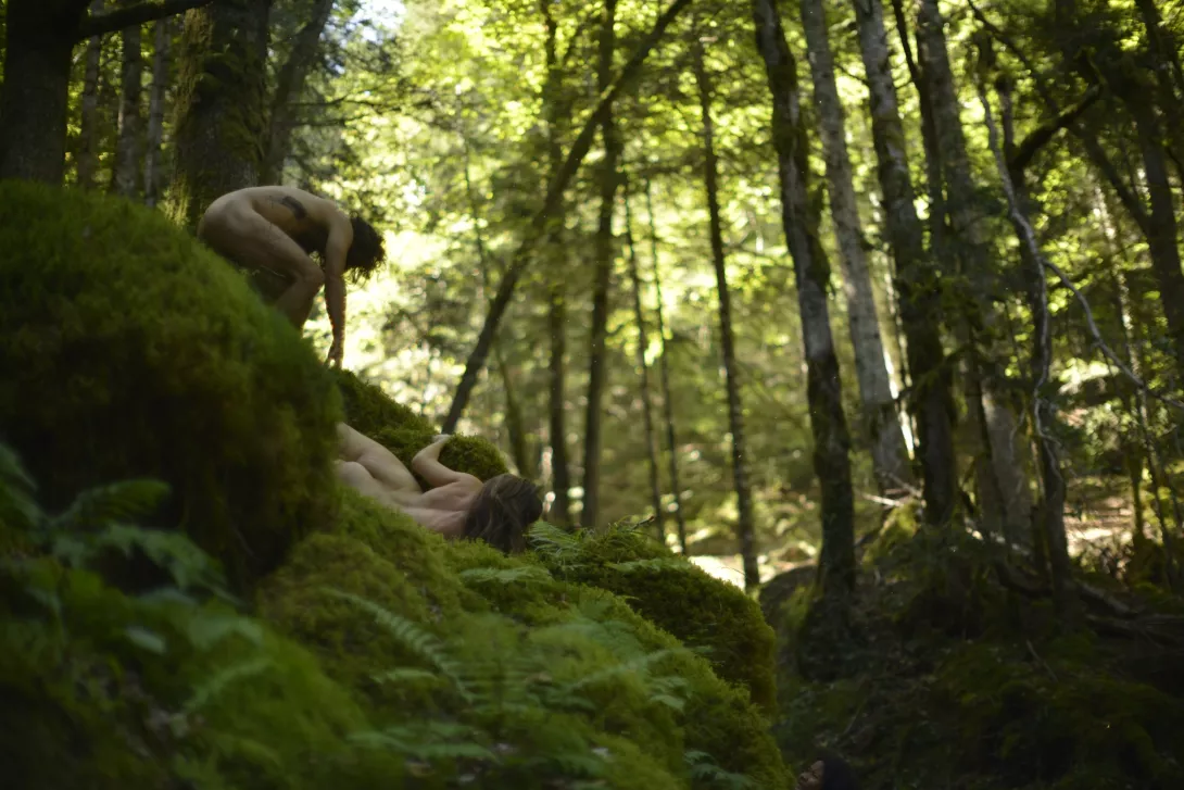 Circassiens dans la forêt