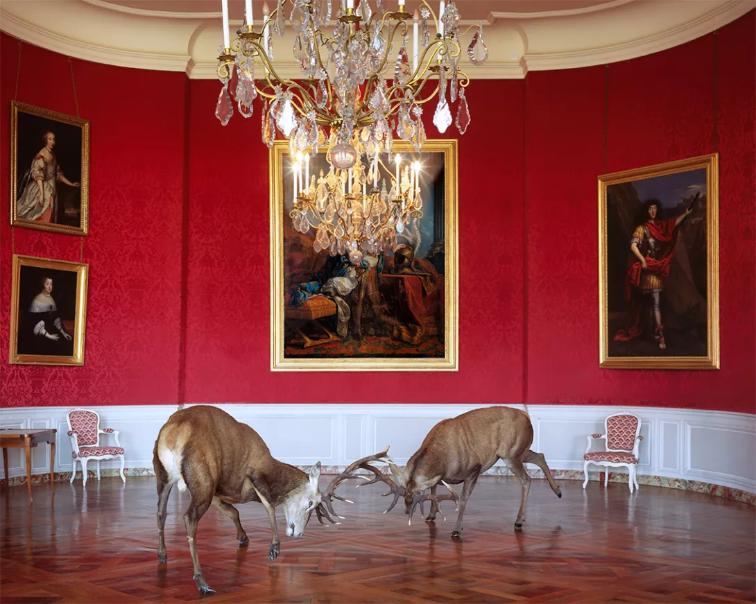 Photo d'une euvre de Karen Knorr, titre "The King-s Reception, Chateau de Chambord"